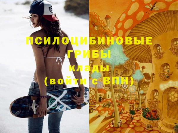 прущие грибы Няндома